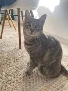 Chloé & alexandre témoignent pour zadig