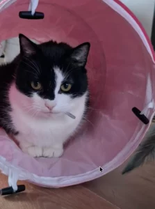 Eva témoignage pour vlam