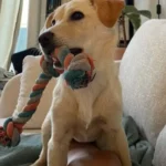 Kelly témoignage pour allegra