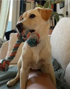 Kelly témoignage pour allegra