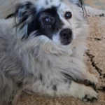 Marie témoignage pour lili