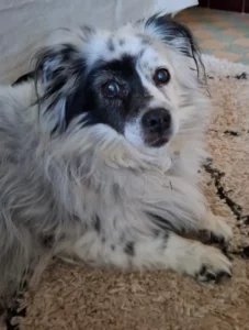 Marie témoignage pour lili